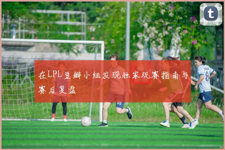 在LPL豆瓣小组发现独家观赛指南与赛后复盘